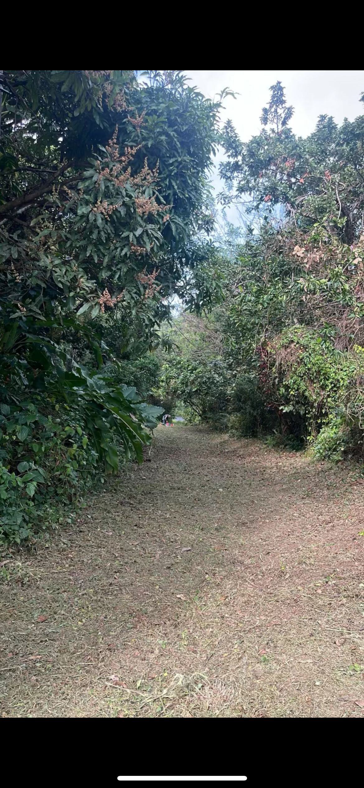 Couloir d'accès du terrain
