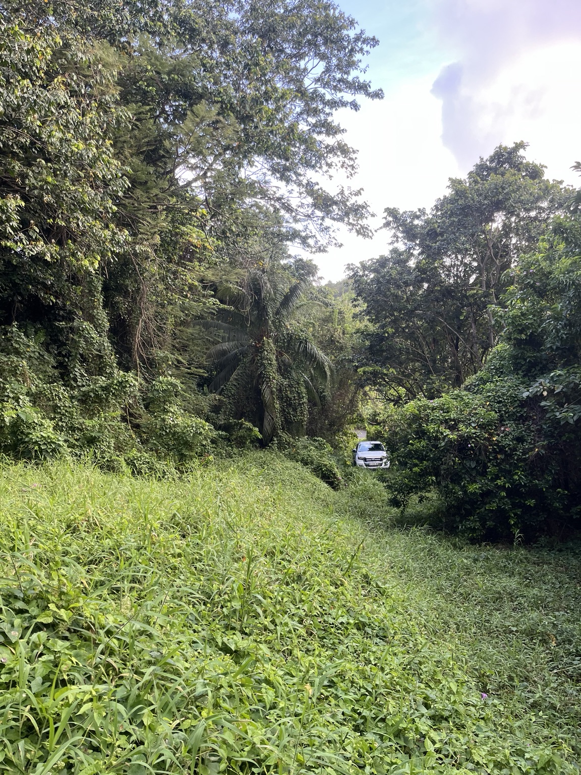 Couloir d'accès du terrain